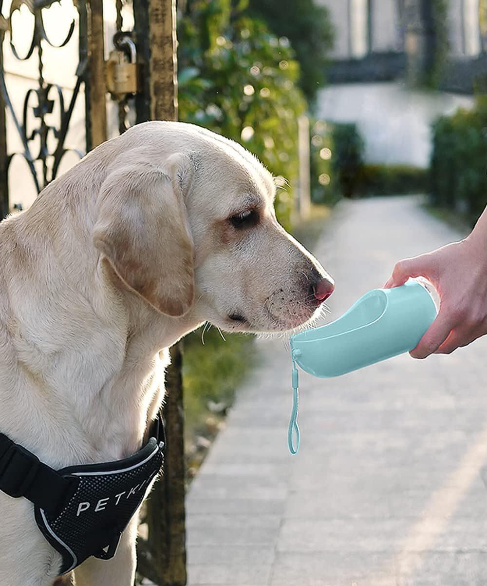 Bebedero portátil para mascotas