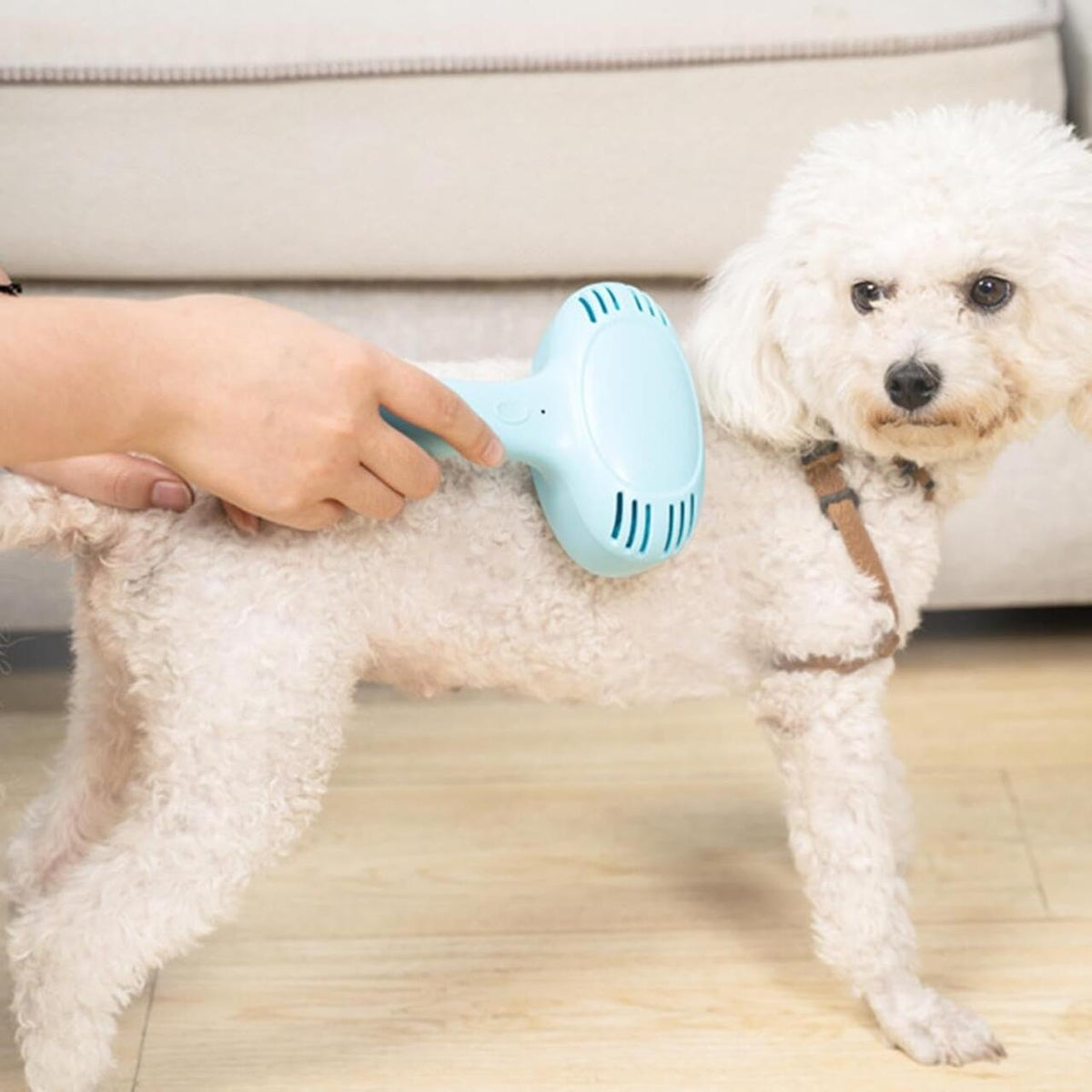 Cepillo eléctrico quitapelos para mascotas