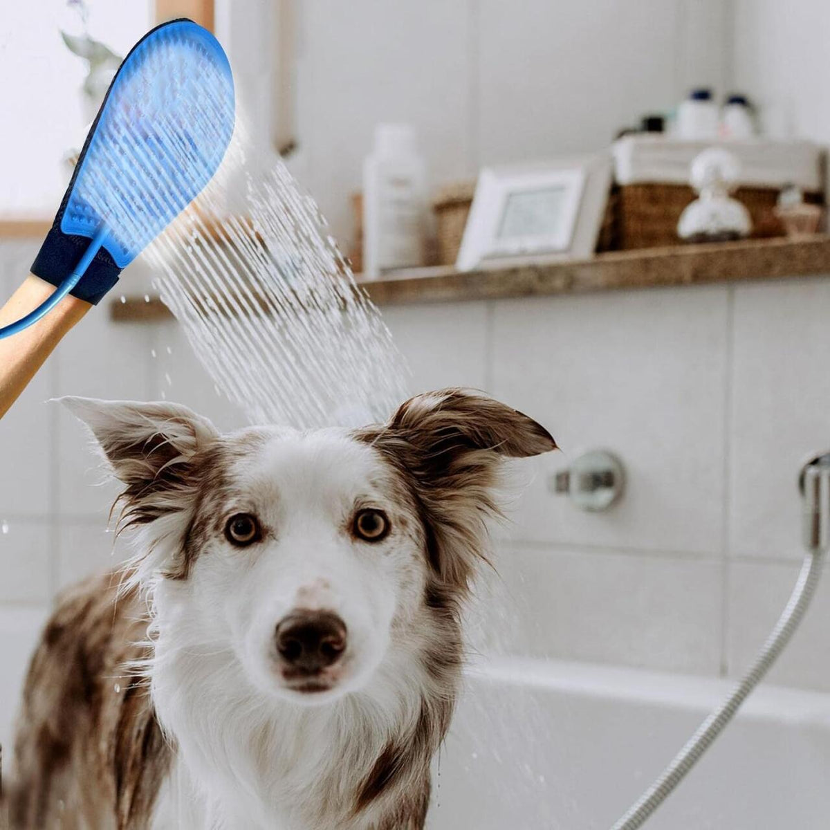 Guante de baño y masaje para mascotas